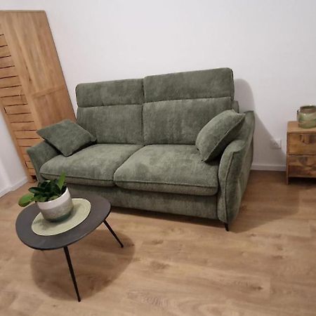 Studio Avec Terrasse Hyper Centre Кольмар Экстерьер фото